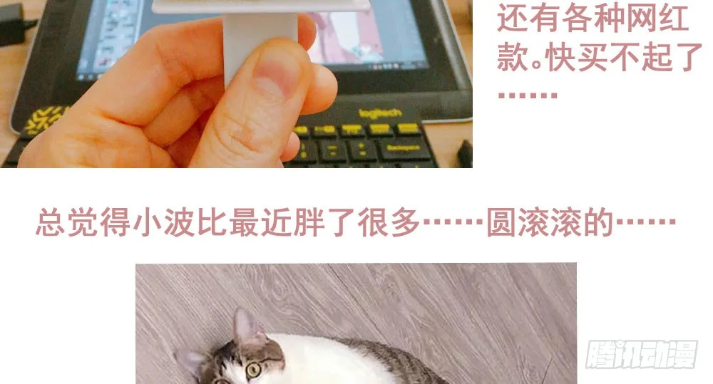 第167页