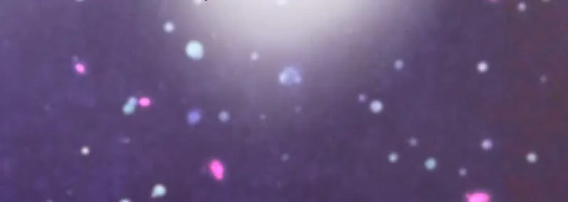 第136页
