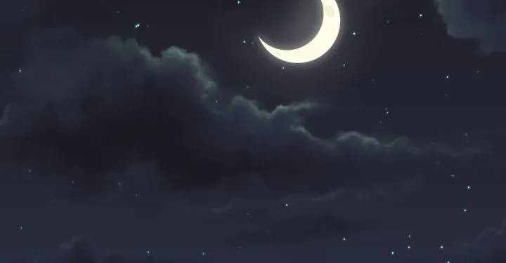 第100页