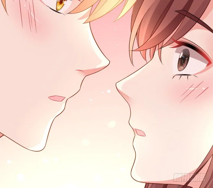 第204页