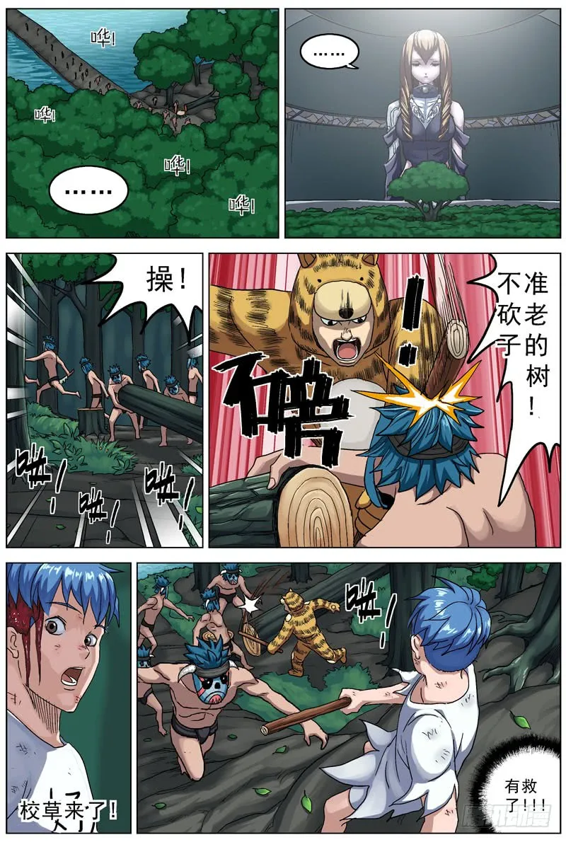 第6页