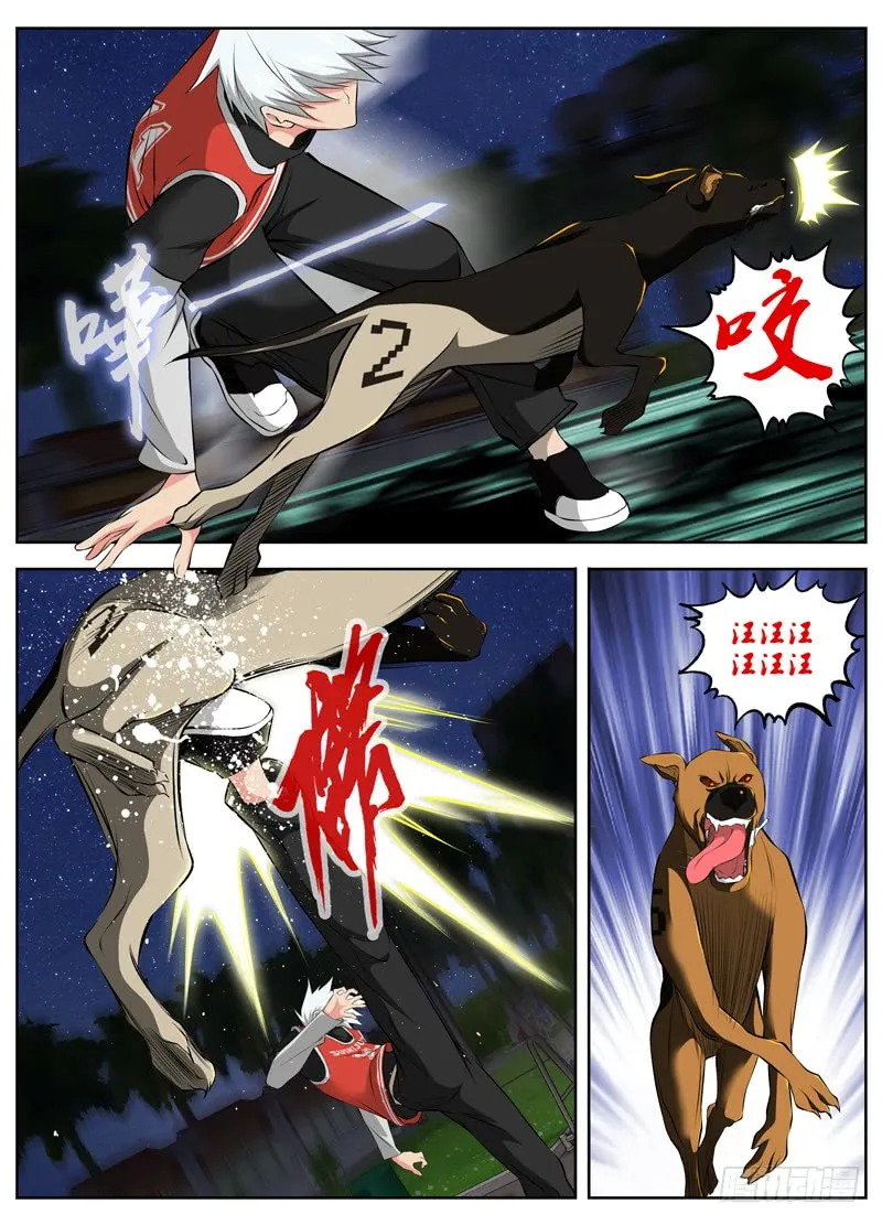第7页