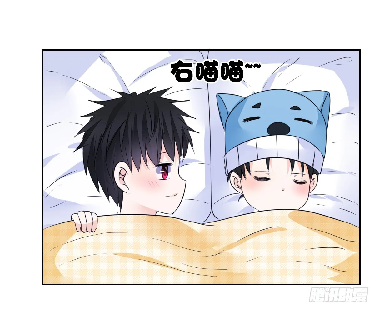 第81页