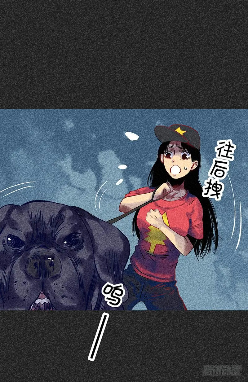 第51页