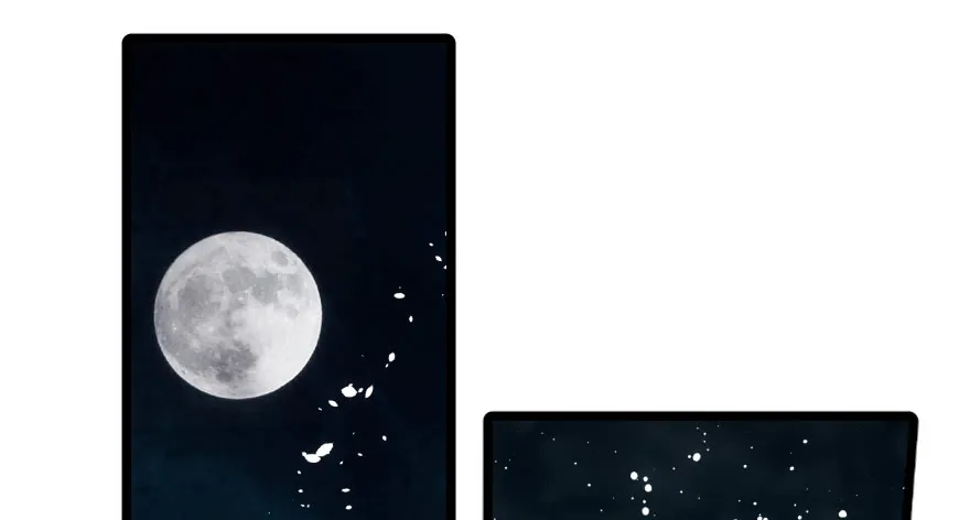 第55页