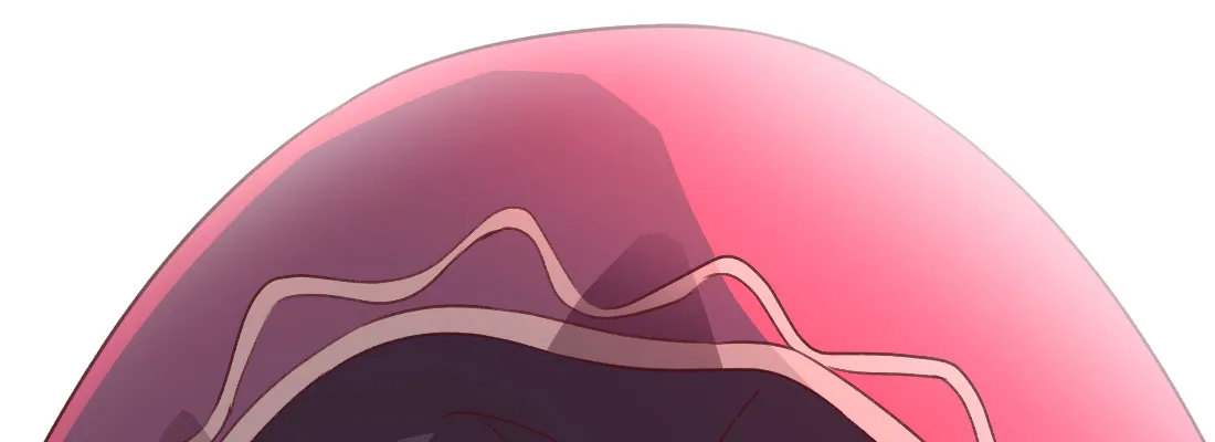 第251页
