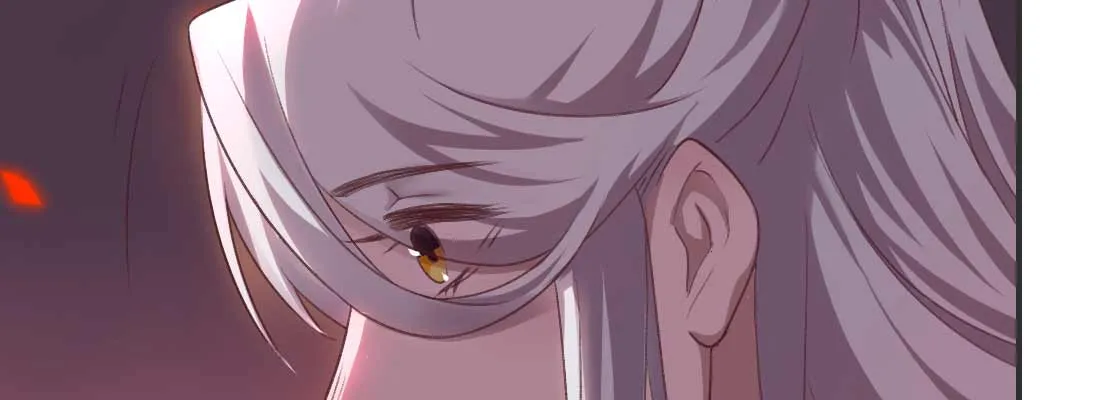 第224页