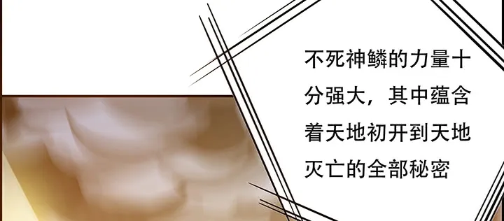 第255页