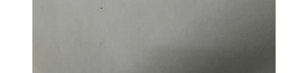 第175页