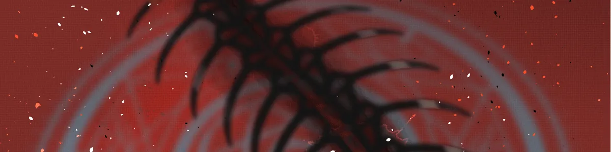 第146页