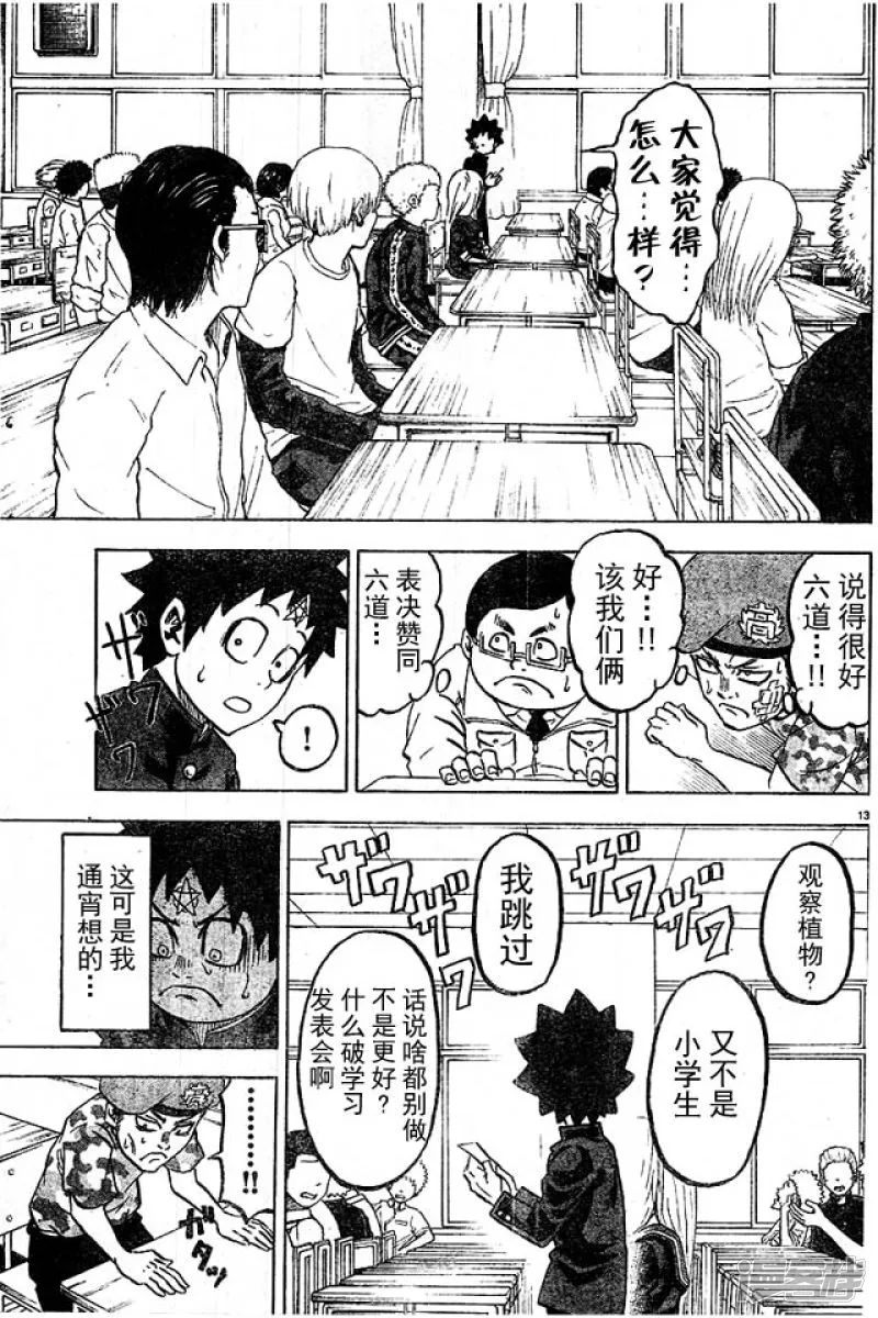 第13页