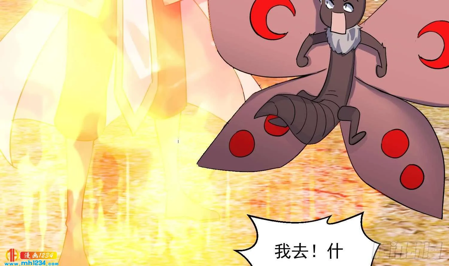 第41页