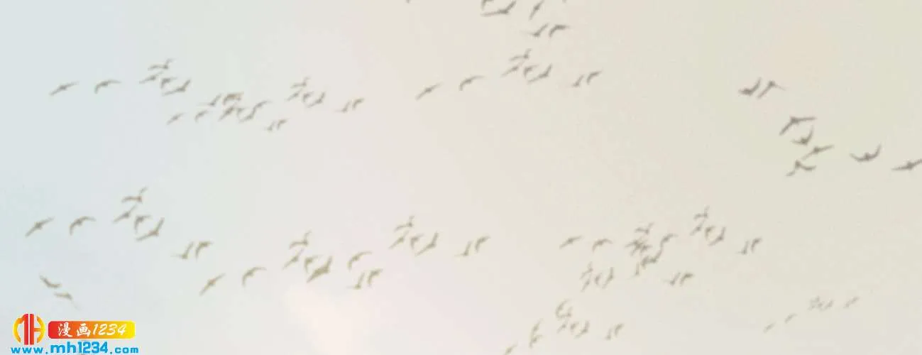 第171页