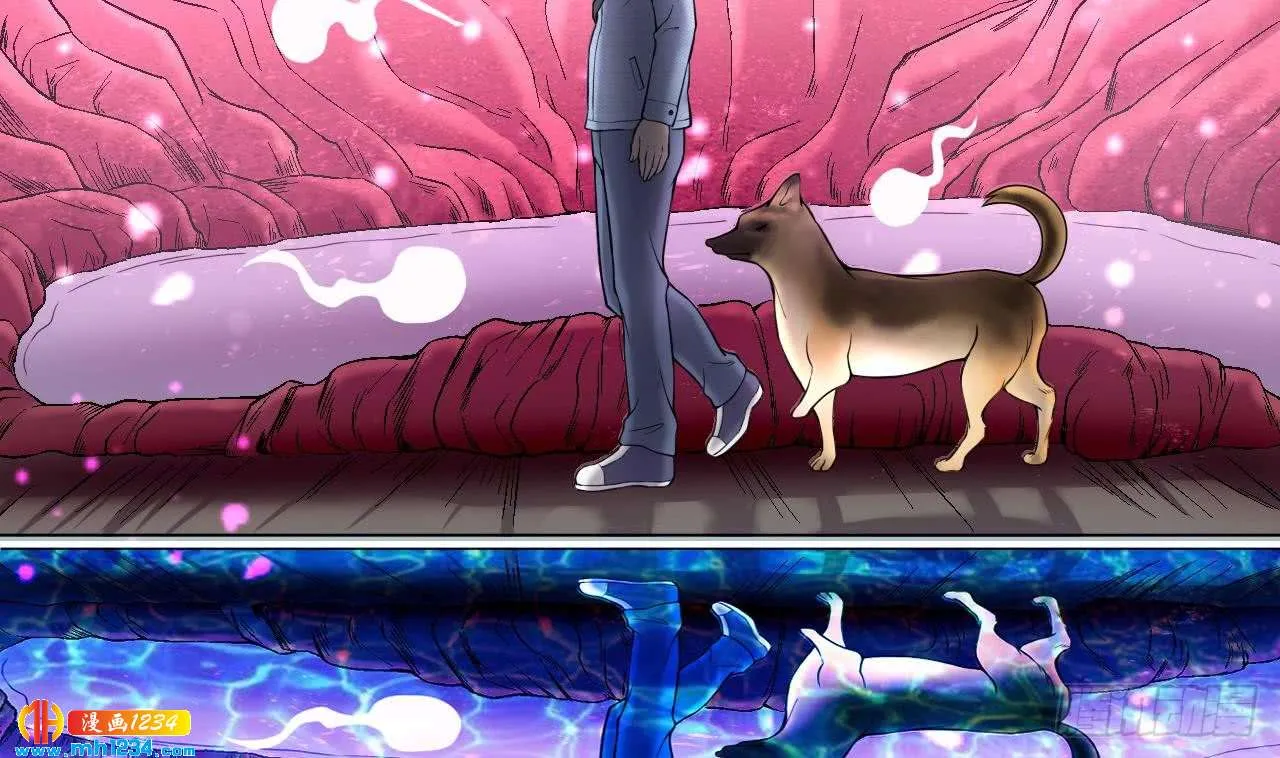 第71页