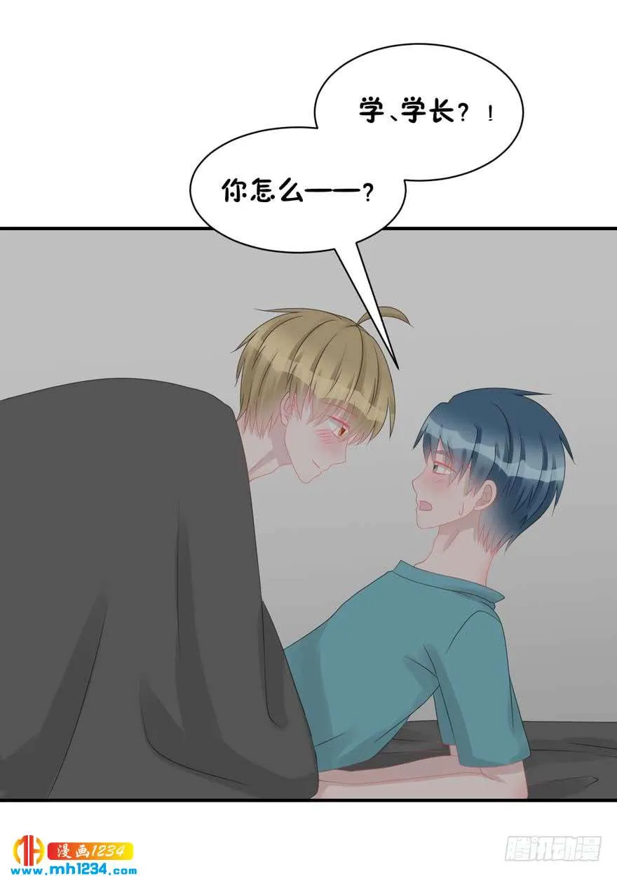 第47页