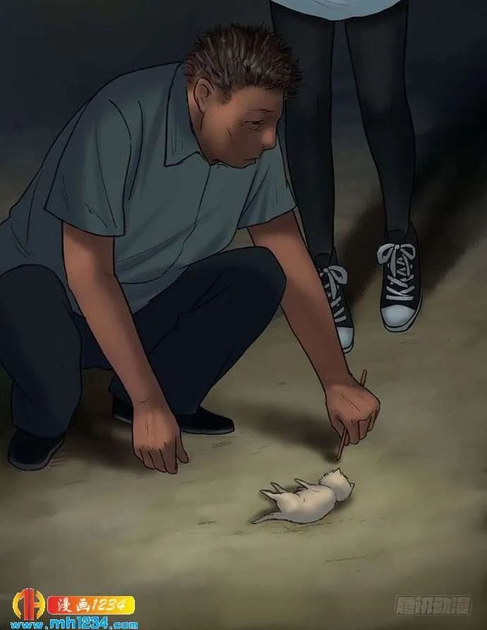 第54页