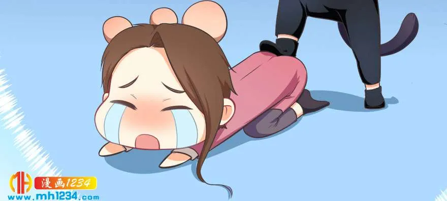 第51页