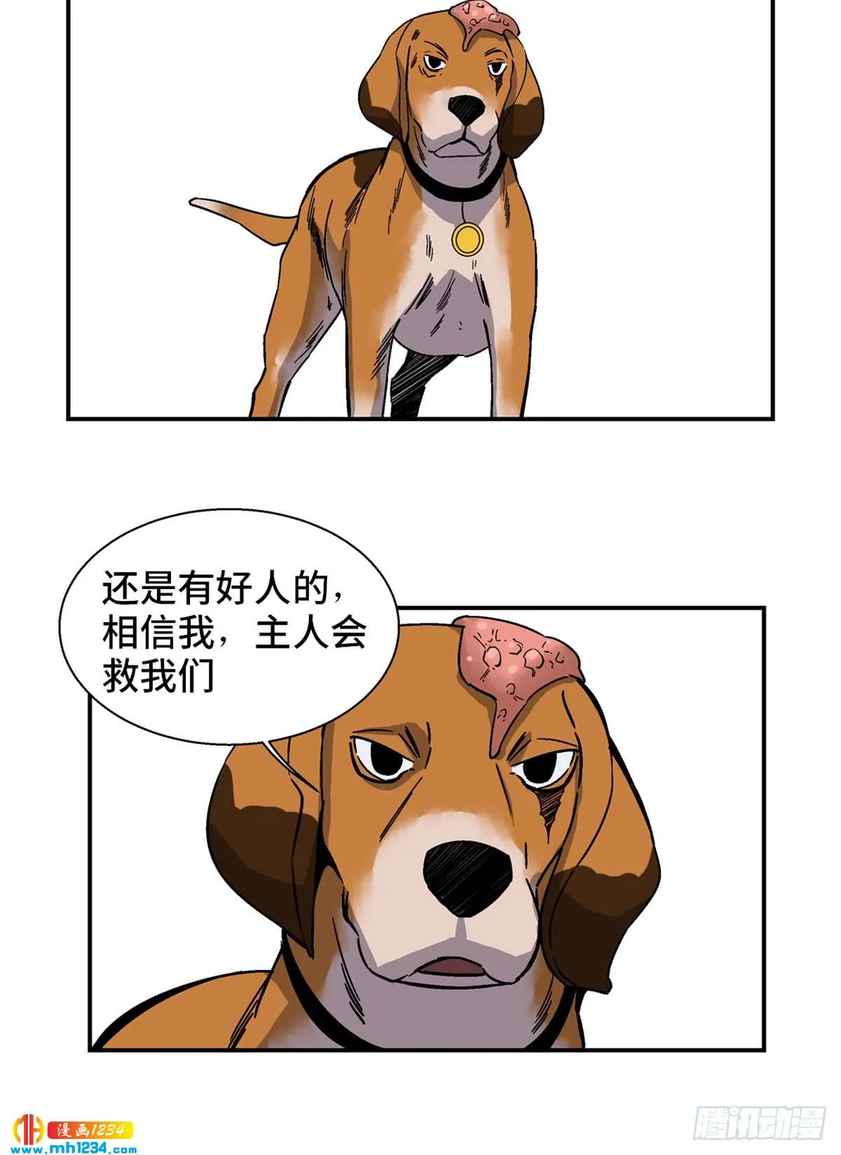 第34页