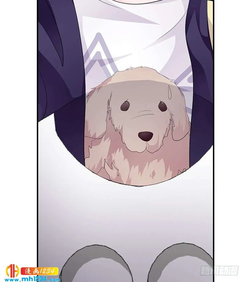 第58页