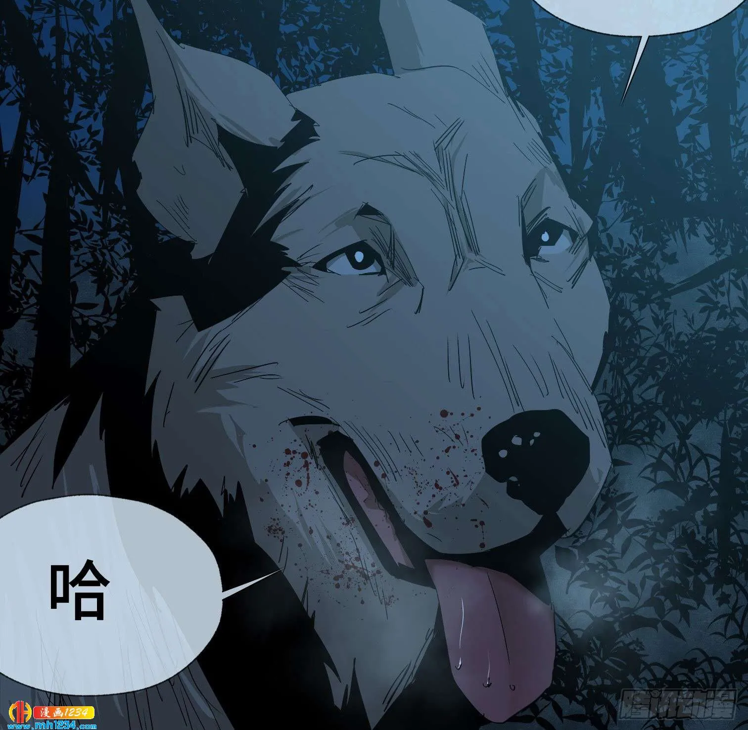 第43页