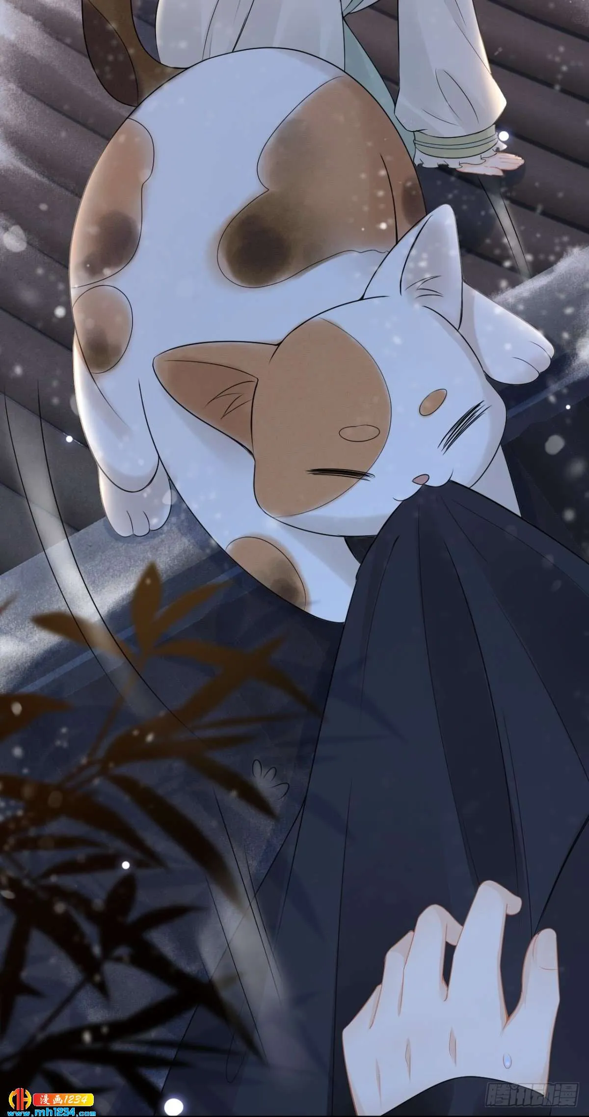 第31页