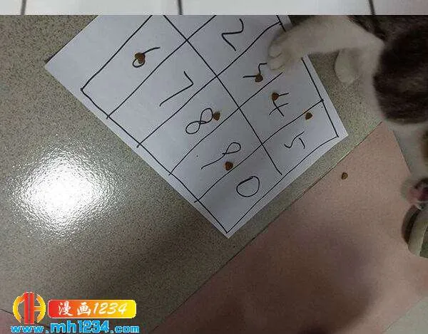 第102页