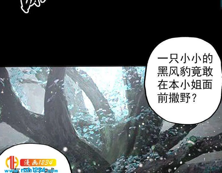 第121页
