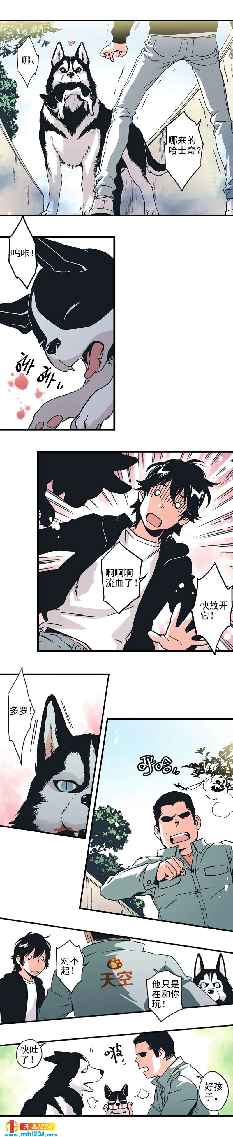 第6页