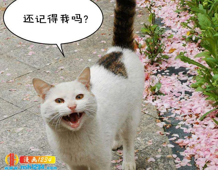 第123页