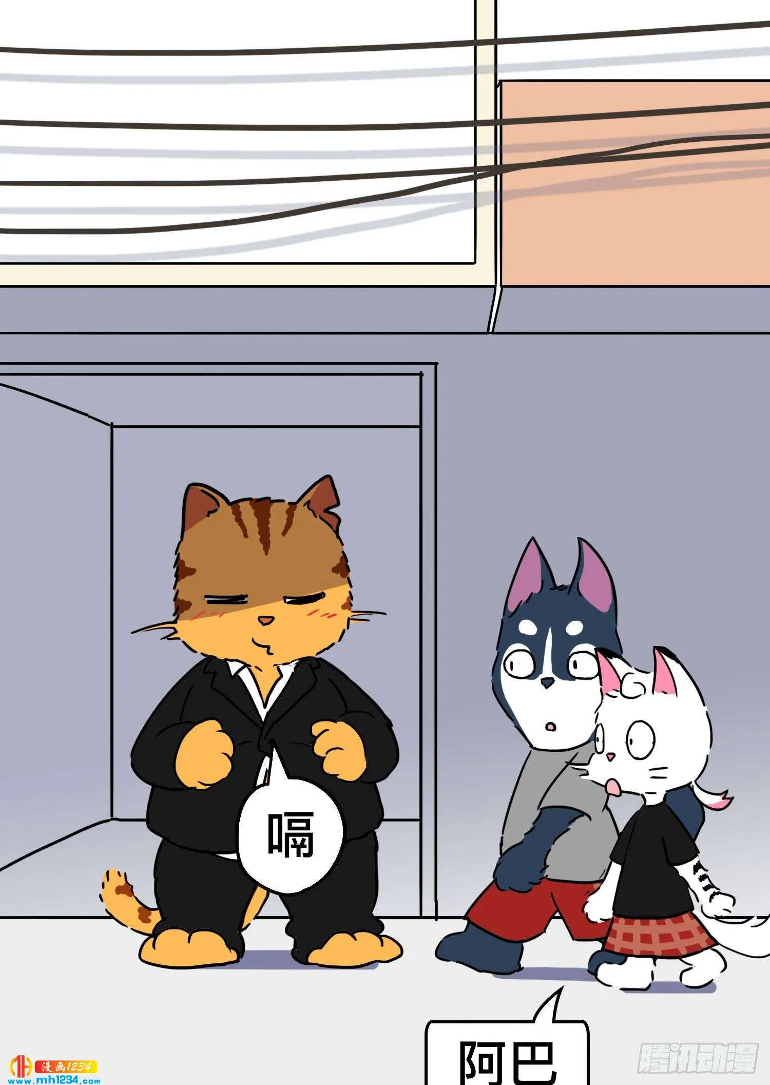 第11页