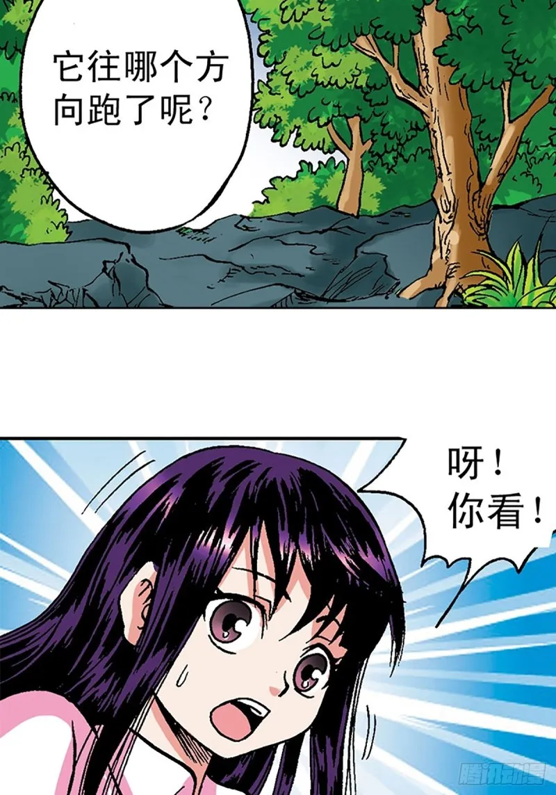第36页