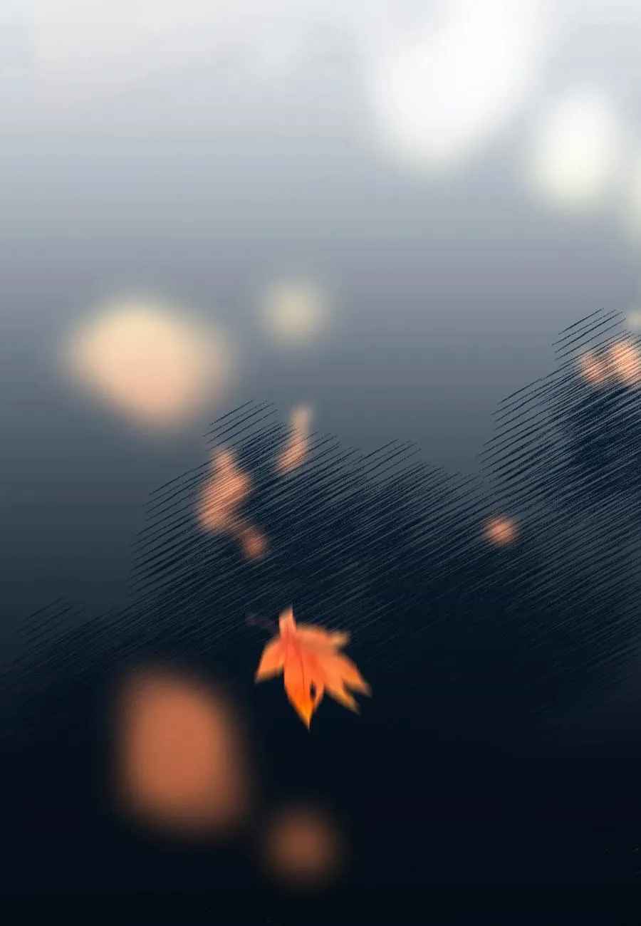 第78页