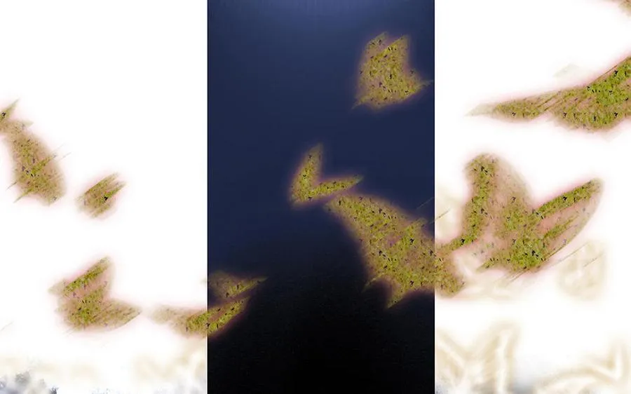 第51页