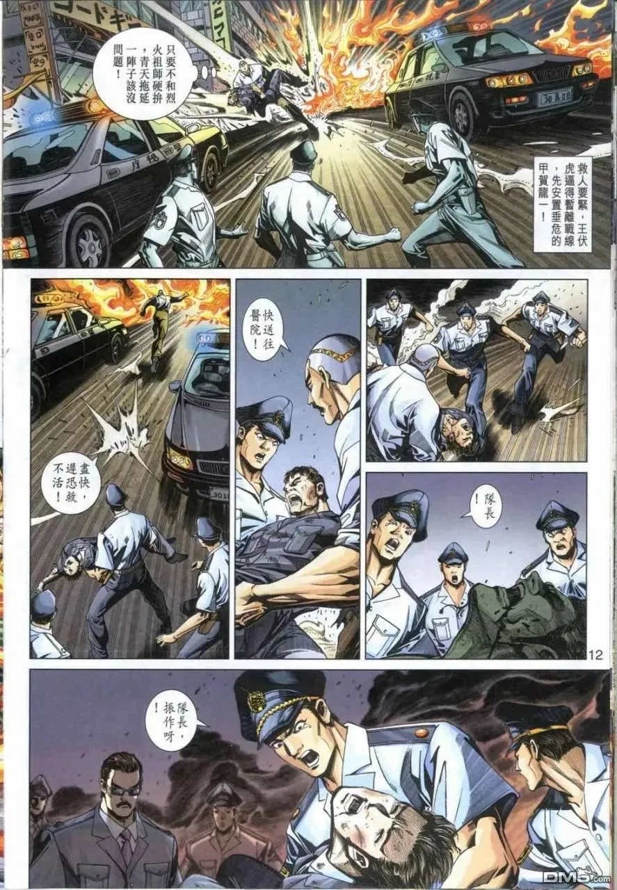 第12页