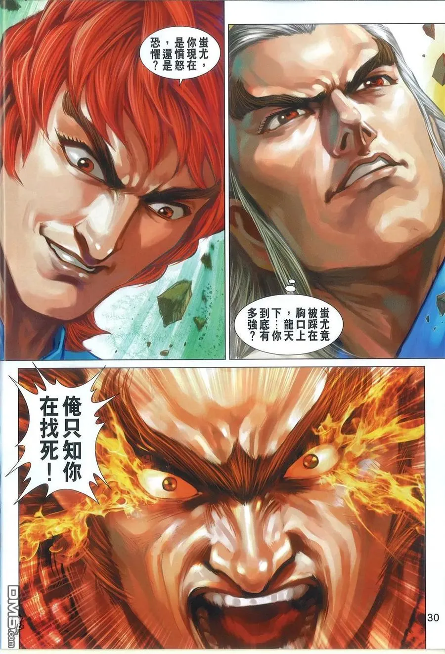 第30页