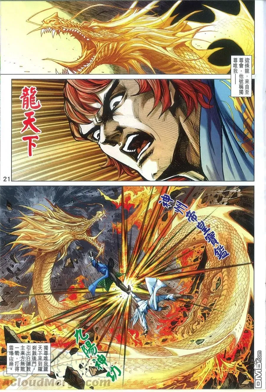 第21页