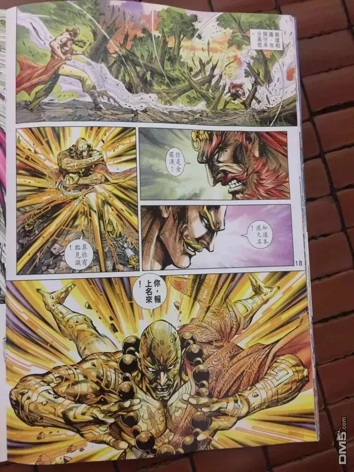 第18页
