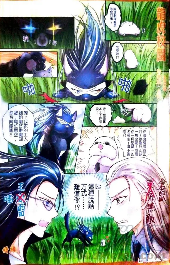 第34页