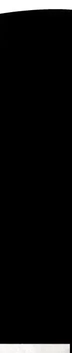 第300页