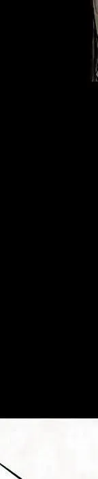 第287页