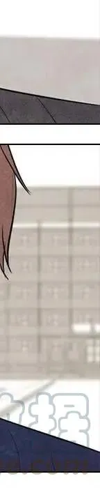 第485页