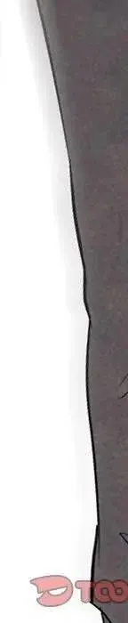 第339页