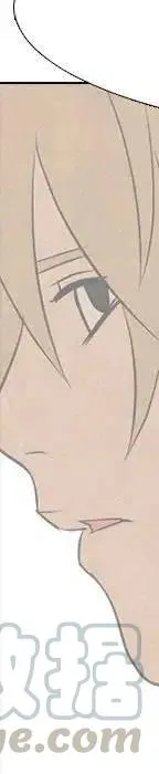 第281页