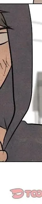 第459页