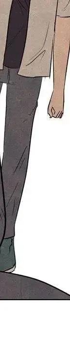 第444页