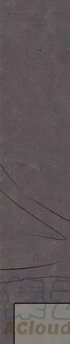 第441页
