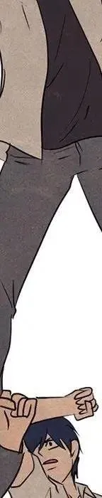 第384页