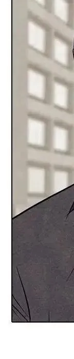 第262页