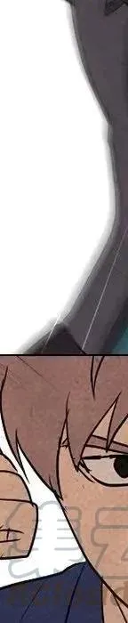 第217页