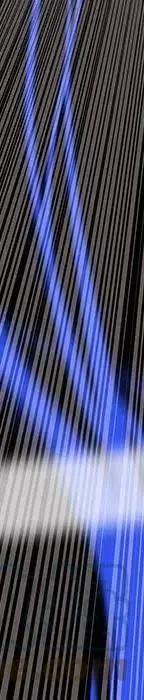 第393页